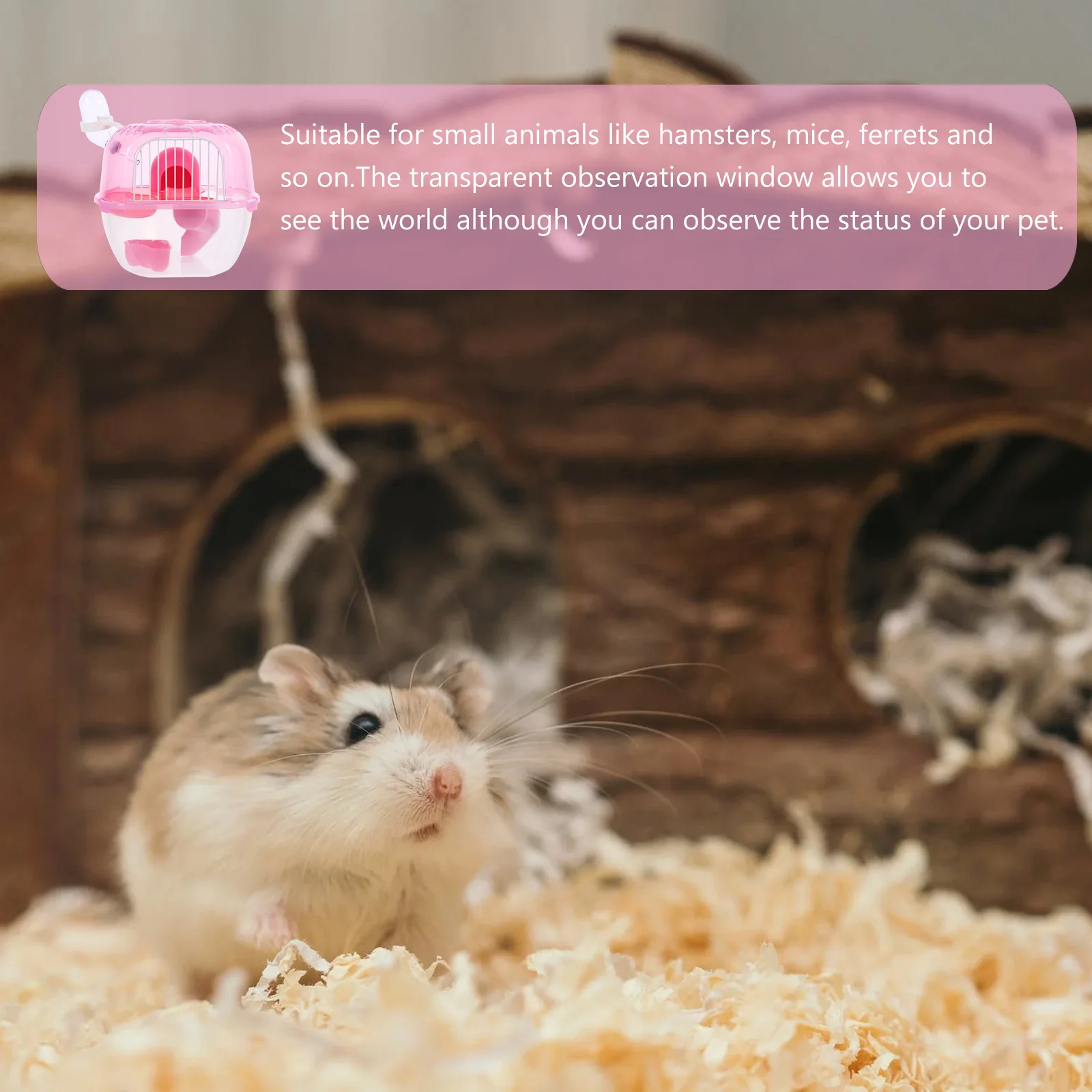 

Double-Layer Small Pet Carrier Cage Lightweight Portable Outdoor Travel Case For Hamster Squirrel Chinchilla Guinea Pig Hedgehog