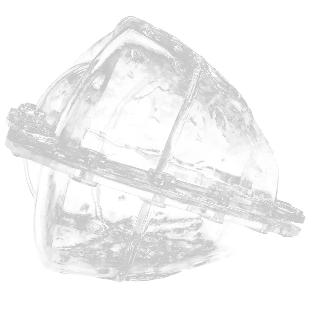 قالب تشكيل فاكهة البطيخ الجينسنغ نباتي شفاف يمكنك صنعه بنفسك قابل لإعادة الاستخدام متعدد الوظائف ملحقات البستنة الإبداعية