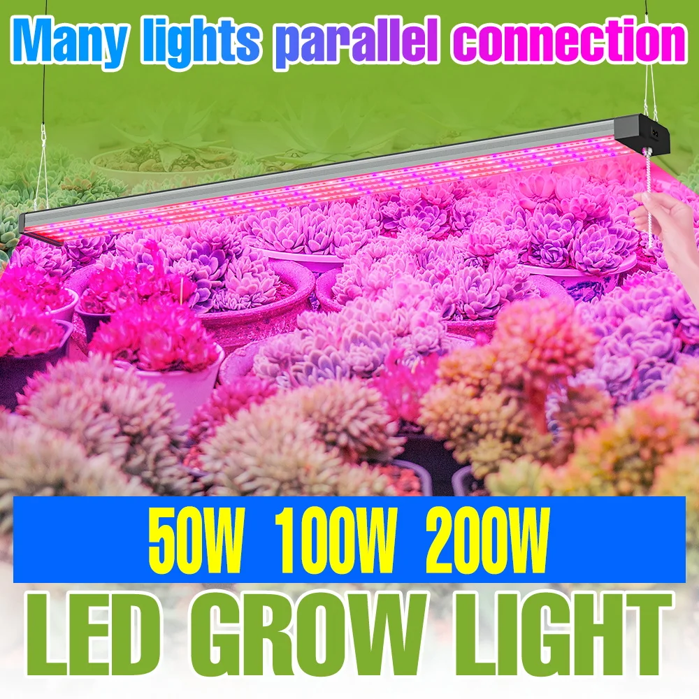 

200W LED Plant Light Full Spectrum Quantum Board Hydroponic Growth Box Fill Lamp Greenhouse Tent Vegs Seeds Cultivation Lighting