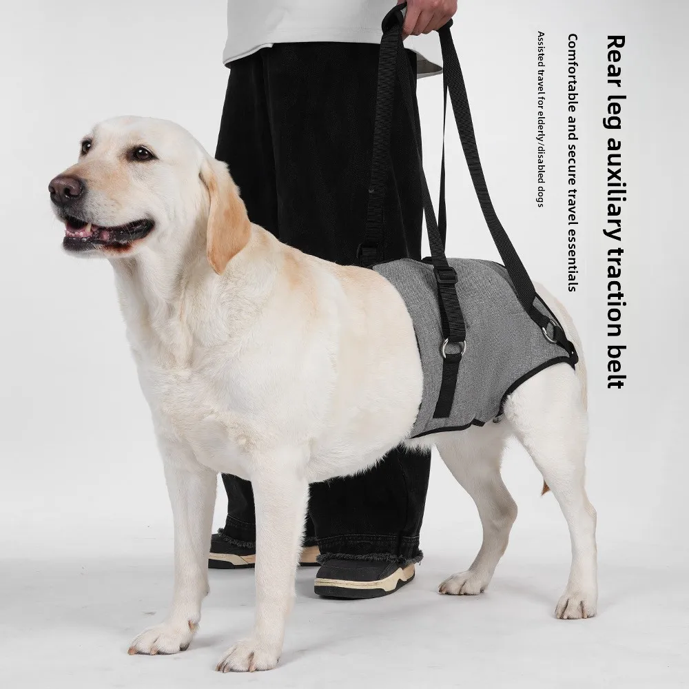 Pet Hind Legs Assist with Dog Postoperative Rehabilitation Travel Assist with Elderly Dog Traction Rope