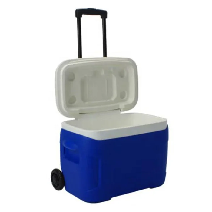 

High Impact PP Plastic Trolley Cooler Case