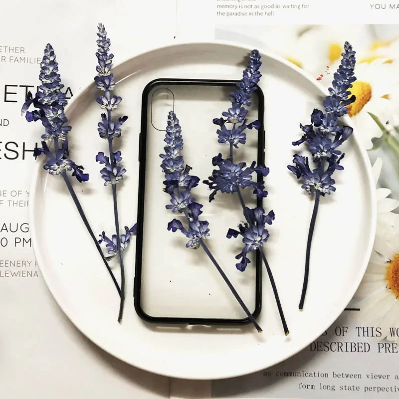 60X Dried Natural Pressed Salvia Japonica Lavender Flower Stalk For Jewelry Photo Frame Scrapbooking Bookmark Phone Case Craft