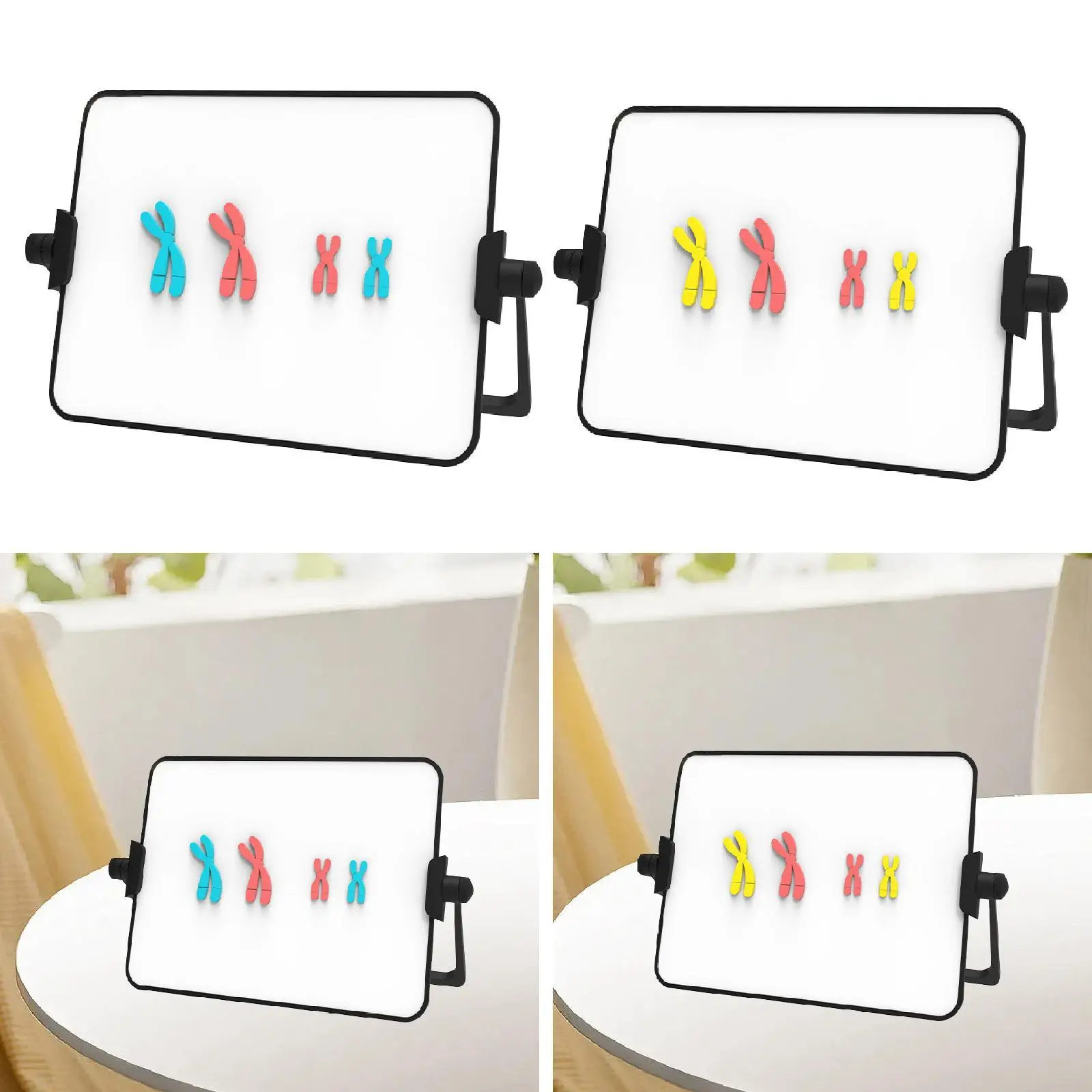 

Комплект модели для изменения хромоса Meiosis, демонстрационный инструмент с кронштейном