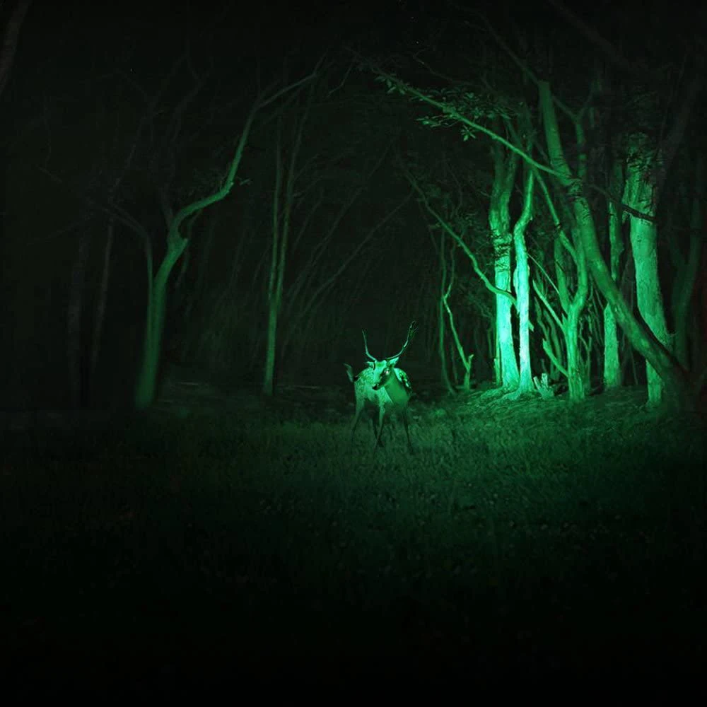 New Red/Blue/Green/White Light LED Flashlight Mini Flashlights Tactical Flashlight Hunting Flashlights 3 Modes Zoom Torch 14500