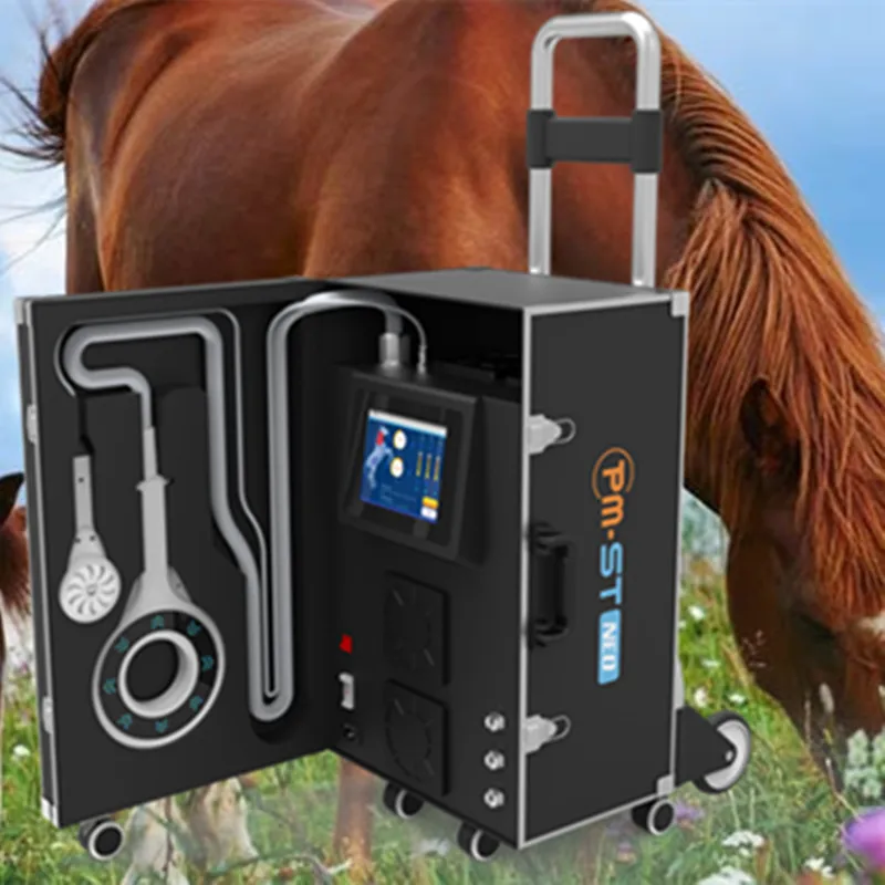 Equine Physio Magneto Therapy Machine Pemf Magnetic Physiotherapy Device for Horses Pain Relief