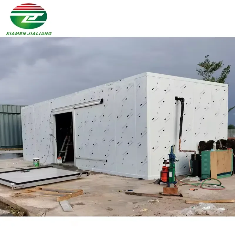 Customized Portable Cooling System Cold Storage Room for Restaurant Cold Room Freezer
