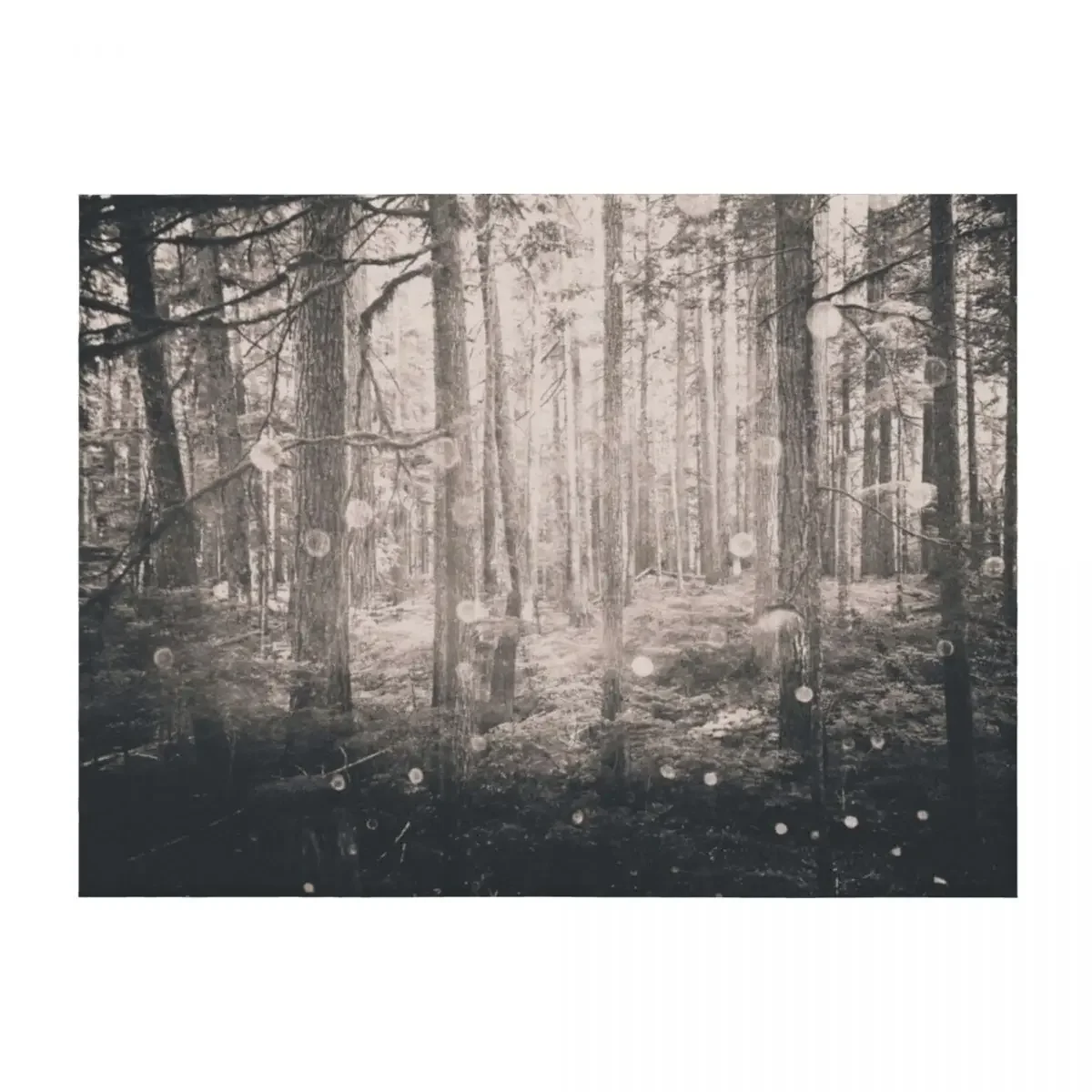 

Forest Nature Walk - Magical Winter Fairy Lights Throw Blanket Soft Beds Single Plaid Blankets