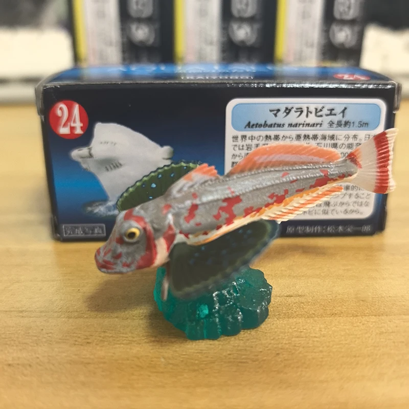 Japan Gashapon Figure Anime Cute Marine Life Series Whale Humpback Bottle Cap Model Action Figurine Capsule Toys Box Gift