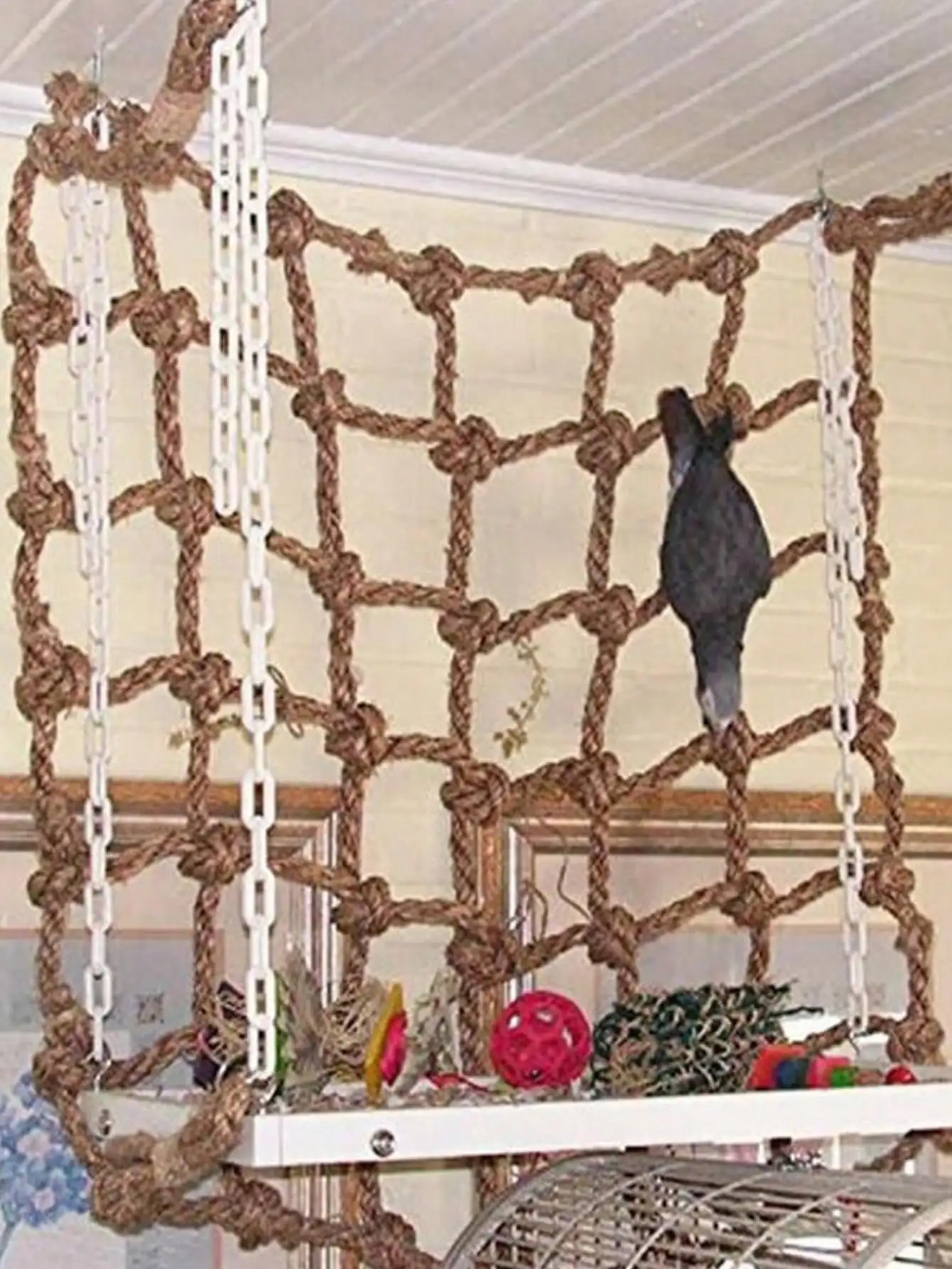 #32 Compare Bird Cage Ladders Before You Buy