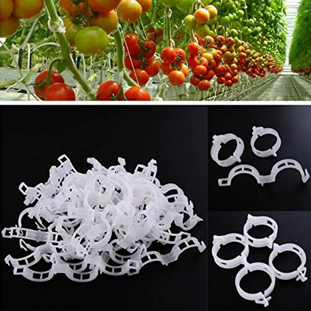 

50-500PCS Plant Supports Clips Reusable Plastic Connects Fixing Vine Tomato Stem Grafting Vegetable Plants Orchard Garden Tools