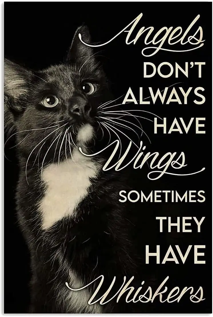 Rustic Metal Signs for Home Decor Tuxedo Black Cat Angels Don't Always Have Wings Sometimes They Have Whiskers Tin Sign Chic