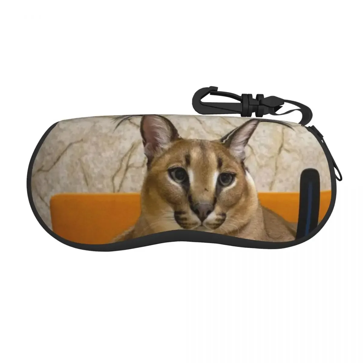 Estuche de gafas de sol personalizado, estuche de gafas de sol personalizado, estuche de gafas de viaje, estuche de gafas de caracol, caja protectora divertida Meme Cat