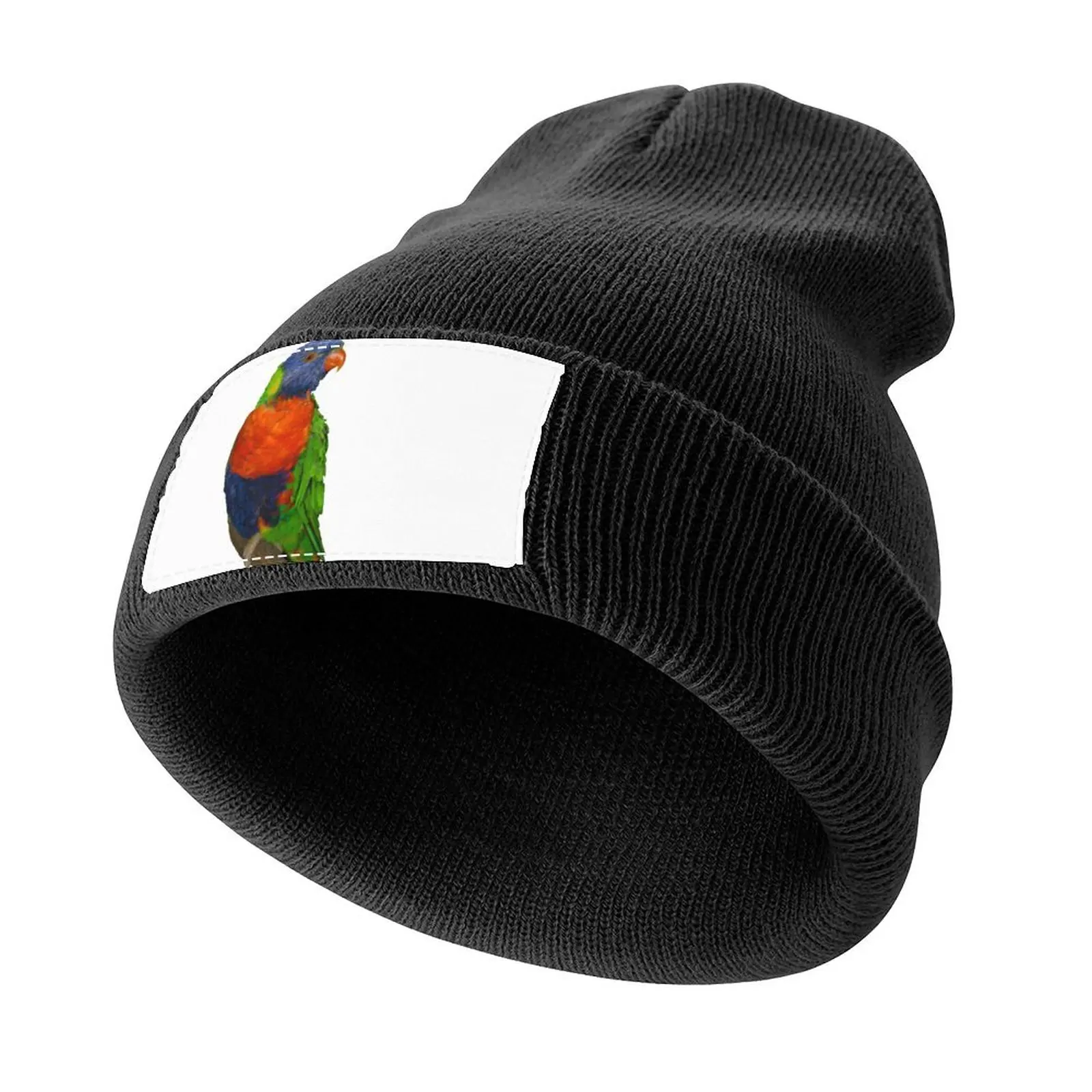 

Rainbow Lorikeet Knitted Cap Gentleman Hat Sun Cap derby hat dad hat Women Hats Men's