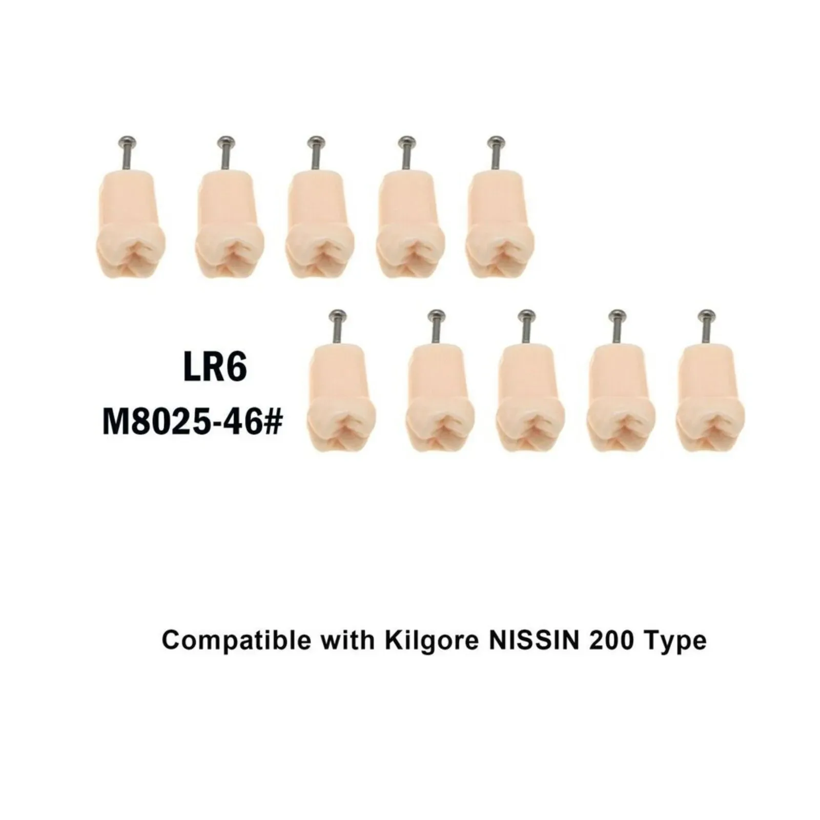 Modelo de dentes para prática odontológica, dente removível, Modelo de treinamento odontológico, Preparação odontológica, Compatível com Kilgore Nissan