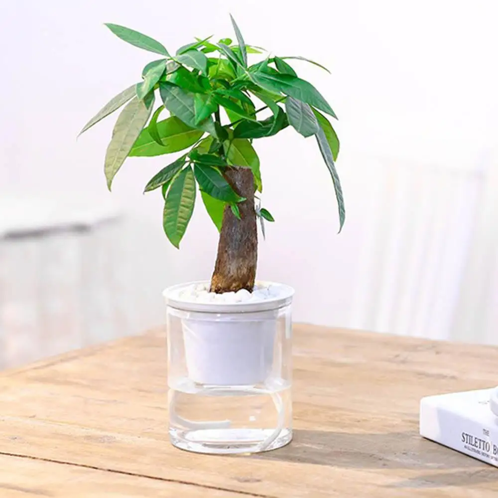 

Purifying air Garden Garden Supplies Succulents Auto Irrigate Office Hydroponic Home Decor Planters Plant Pot Flower Pots
