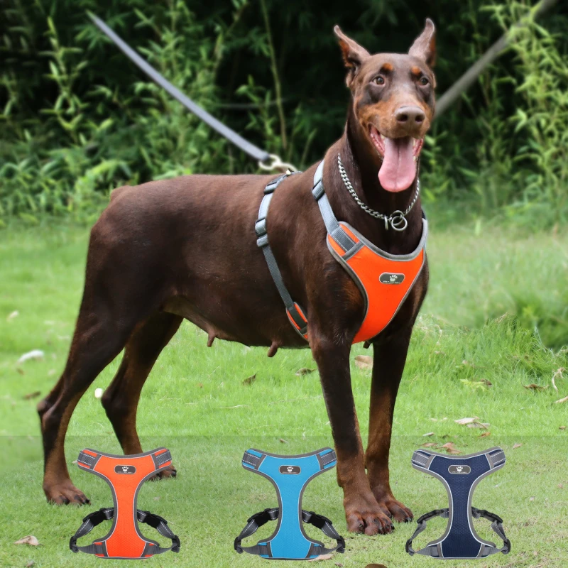 

Dog Harnesses Medium And Large Dog Chest Strap Explosion-proof Impact Vest Type Reflective Quick Release Large Dog Chest Strap