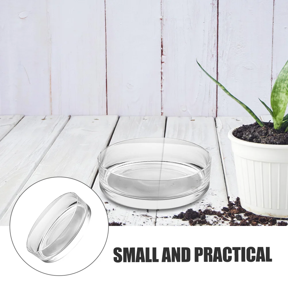 

Indoor Plant Aquatic Pot Small Fish Bowl Glass Hydroponic Planters Desktop Vase Tank Clear Container Flower Bowls Succulent
