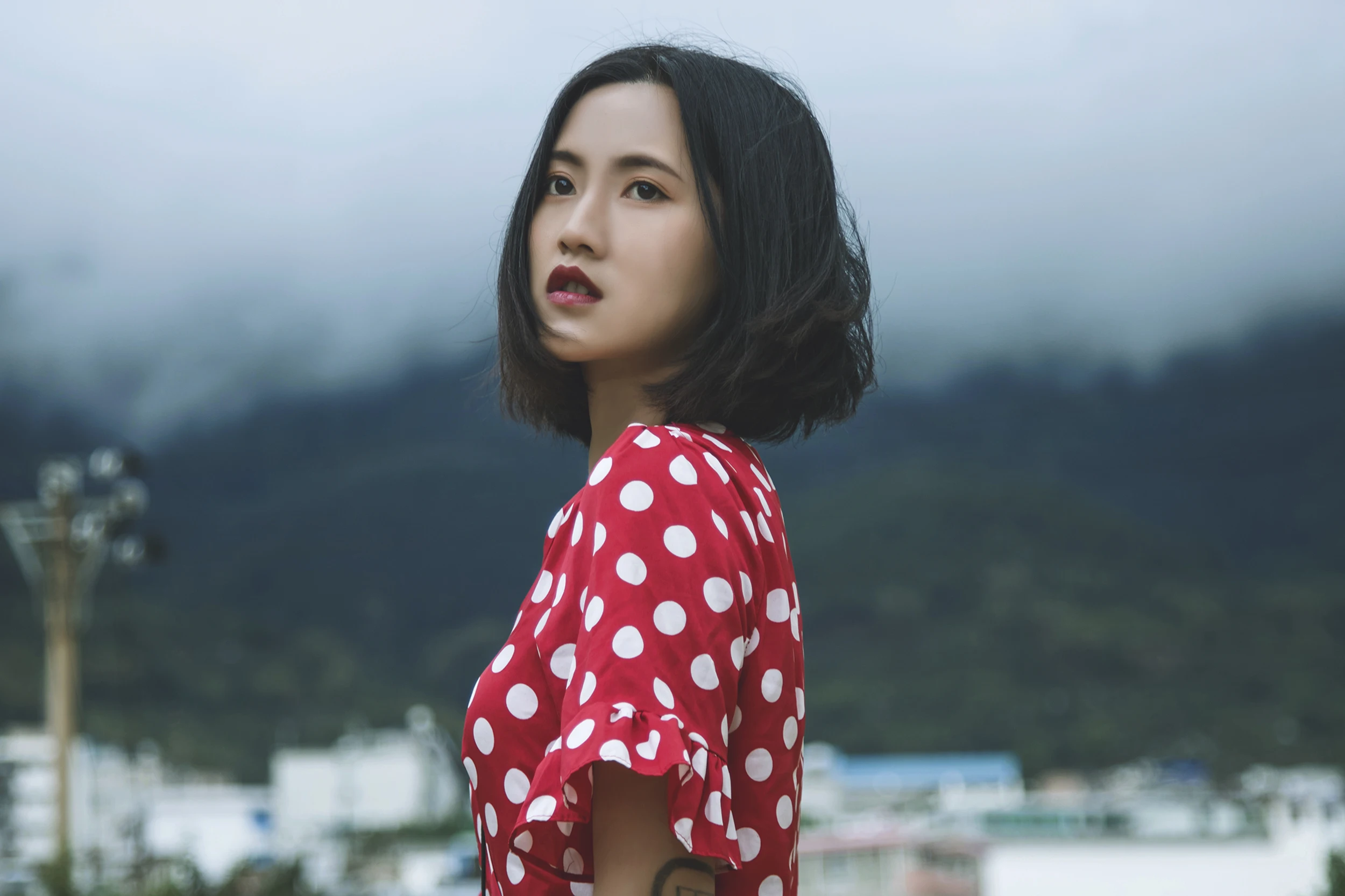 

10A 30A 40A 50A 80A Brushless ESC Speed Controller with BEC 2-7S for RC Airplanes Helicopter FPV Quadcopter Accessories