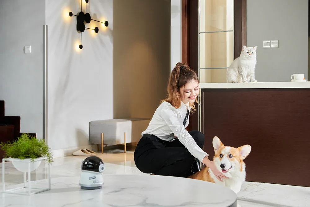 Cámara IP PTZ para perro y gato, videocámara con Wifi, APP de grabación y corte de vídeo, monitoreo en tiempo Real, nuevo diseño