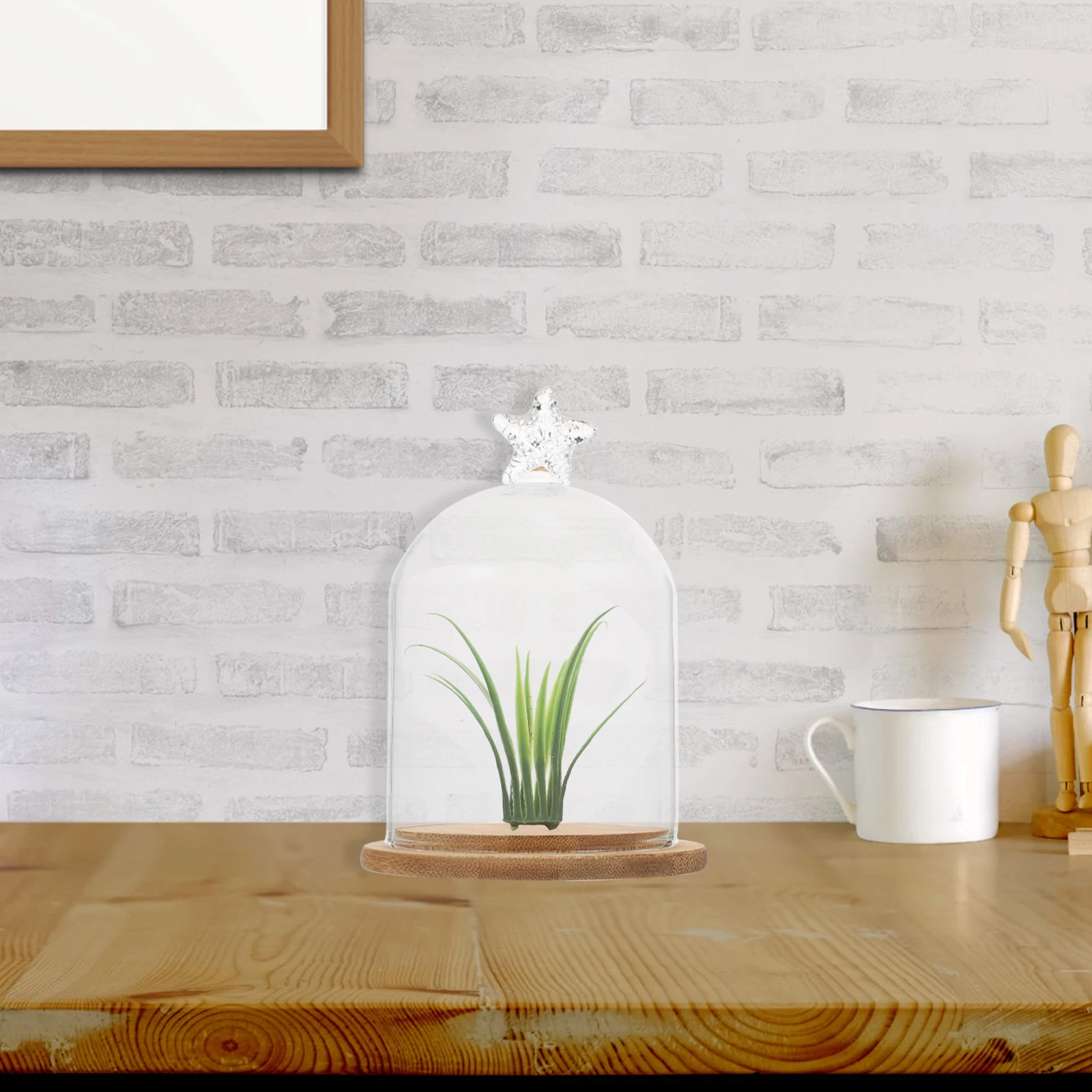 

Eternal Flower Container Glass Display Cover Cake Birthday Party Decoration Desktop Adornment