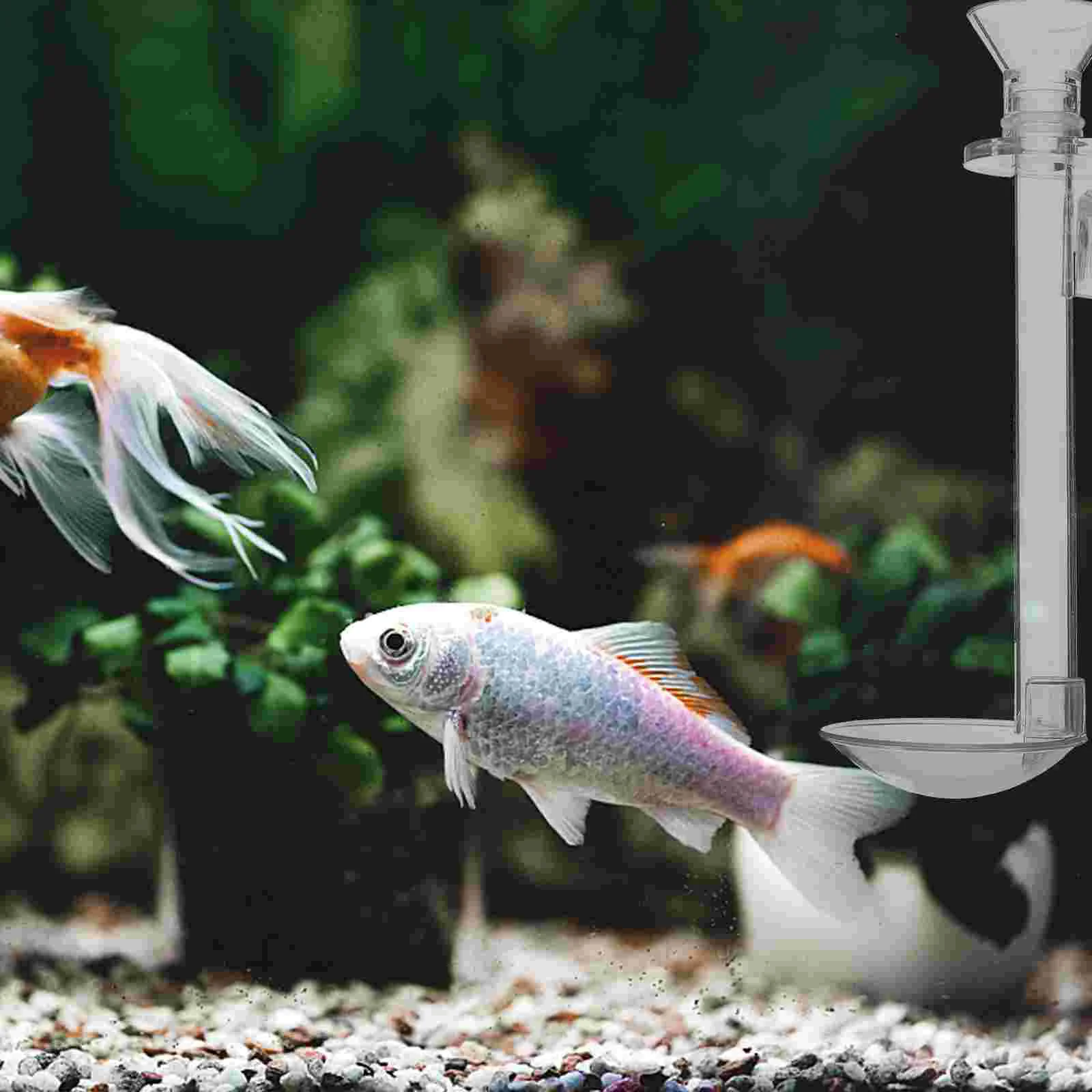 Fish Tank Feeder Shrimp Feeding Dishes Tube Betta Accessories Wall Hanging for Aquarium Vacation Transparent