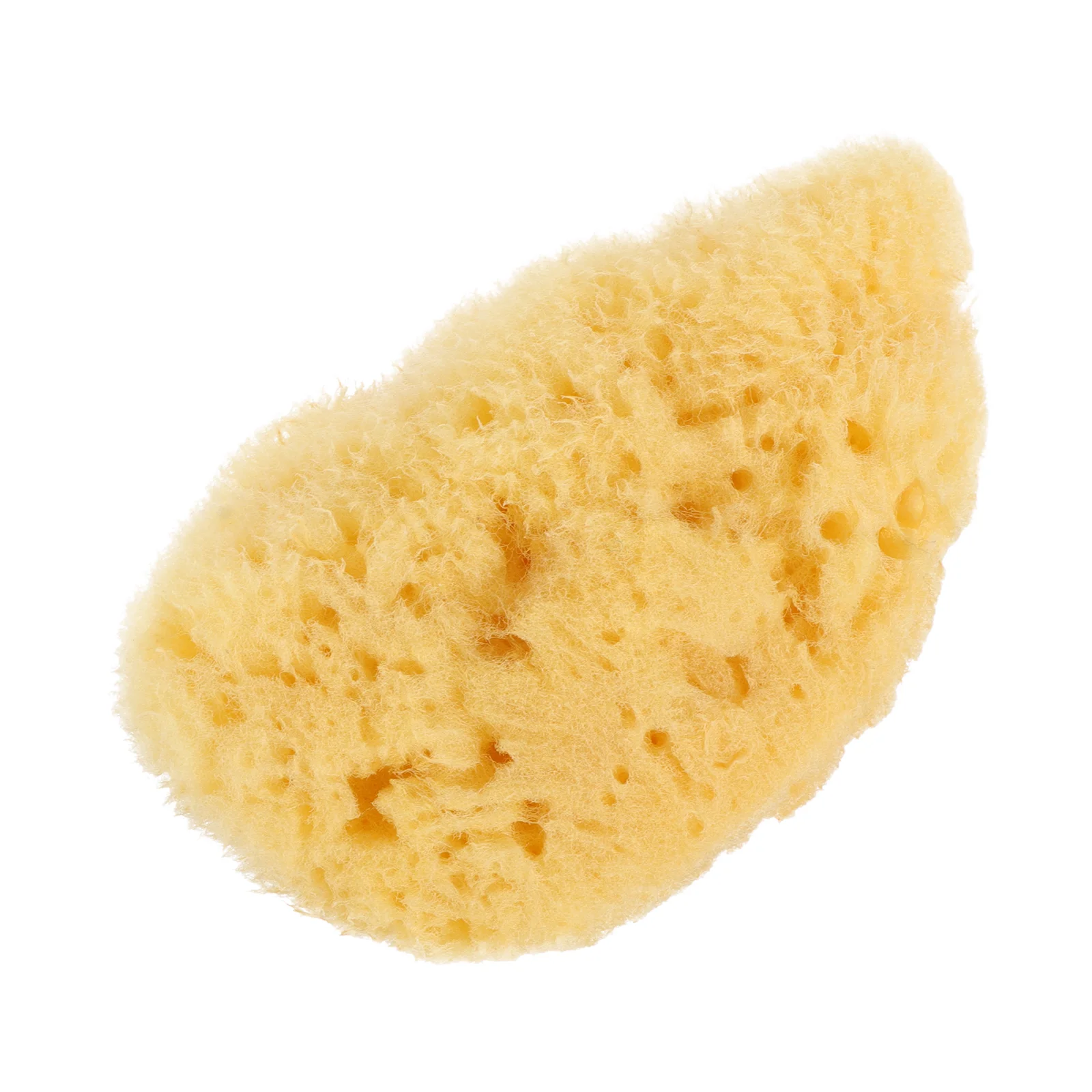 

Painting Texture Sponge Make up Sponges Facial Natural Kids Tools Pottery Brush for Craft Baby