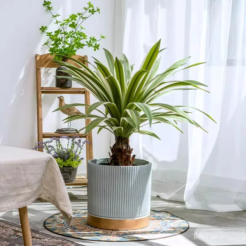 

Nordic Simulation Green Plant Agave Fake Tree Indoor Floor-to-ceiling Small Potted Plant Ornaments