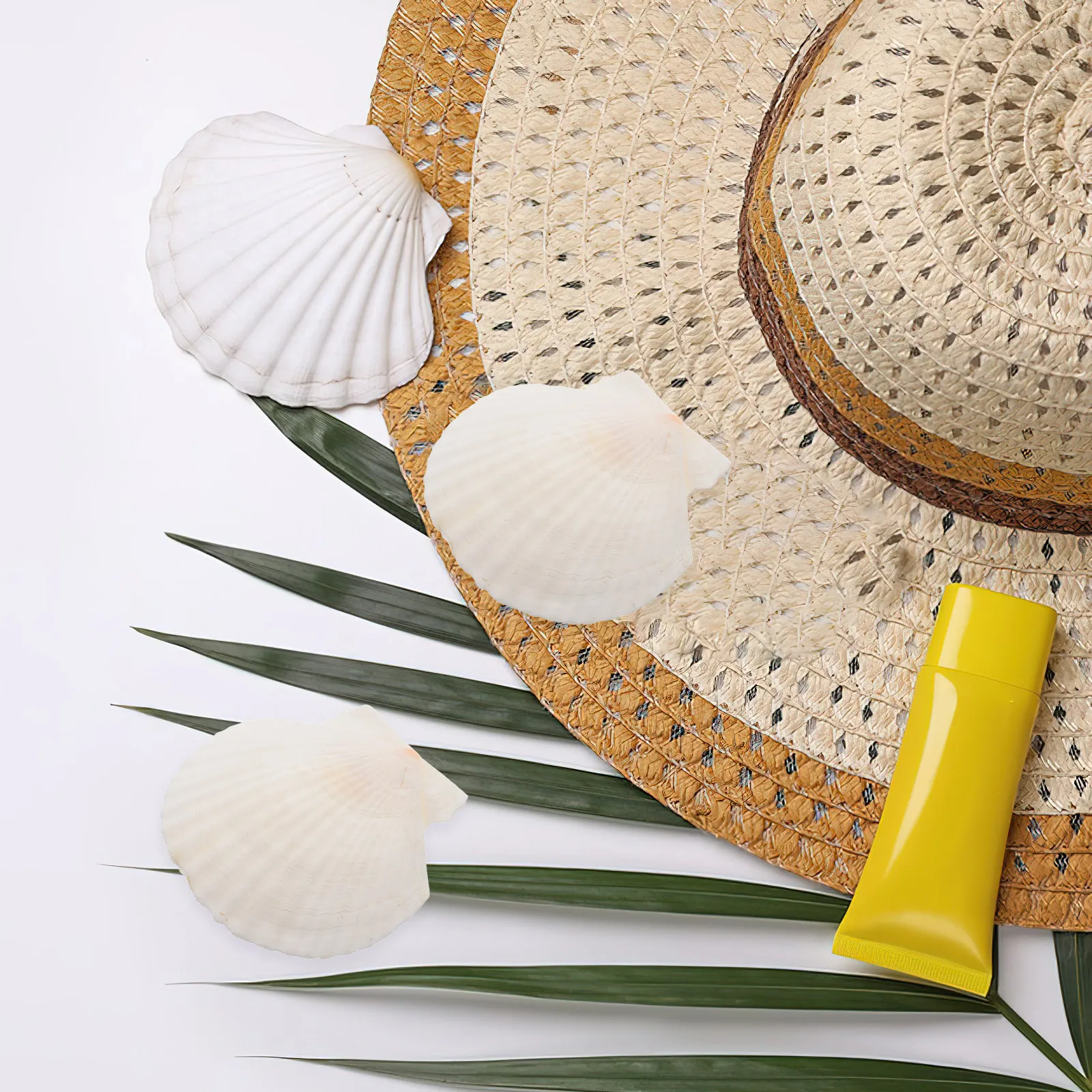 21Pcs Scallop Shells Decorative Set Natural Texture Craft Shells for Home Office Desktop Nightstand Ocean Theme Seashell