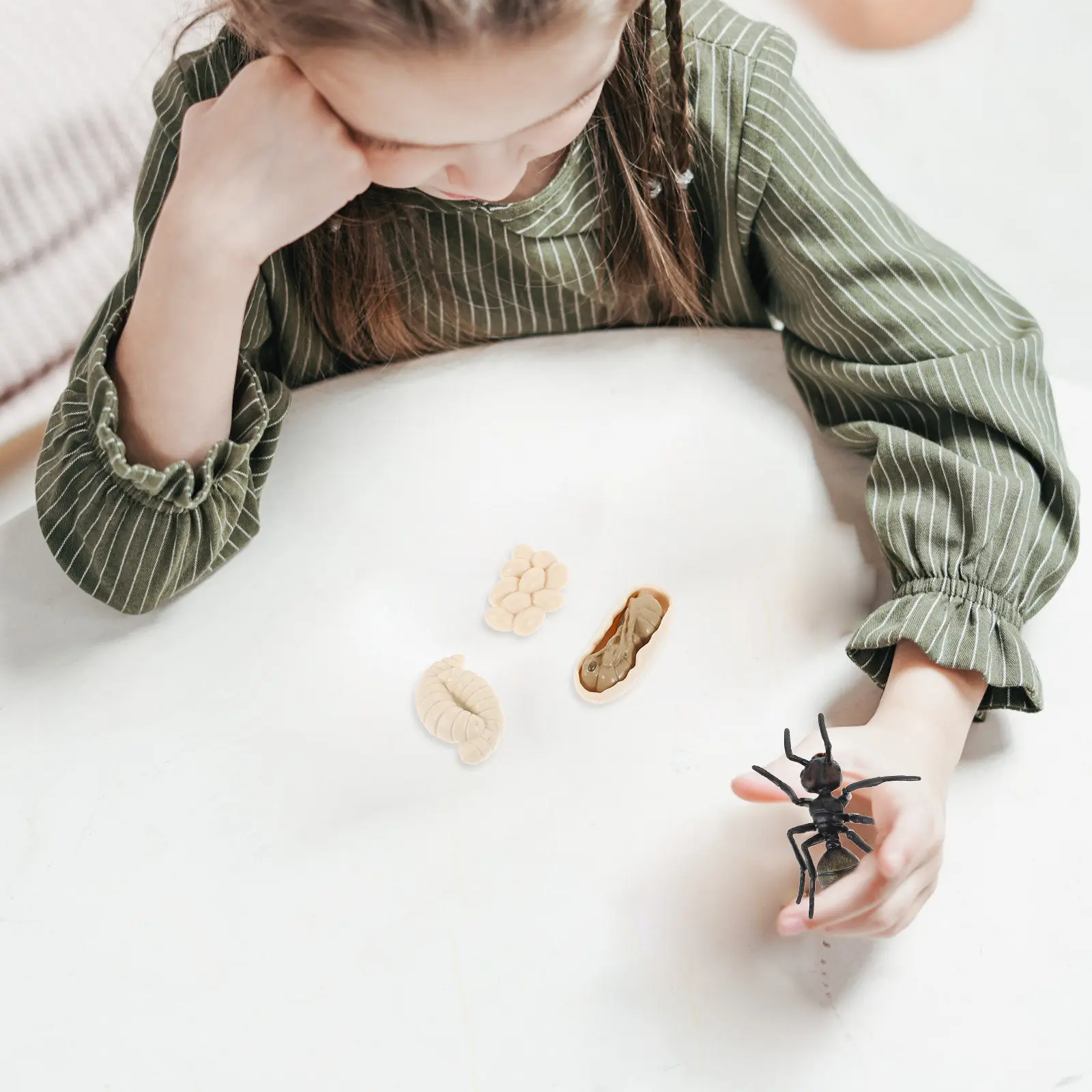 Black Ant Life Cycle Educational Kit for Kids – STEM Learning Toy with Plastic Models for Nature Exploration