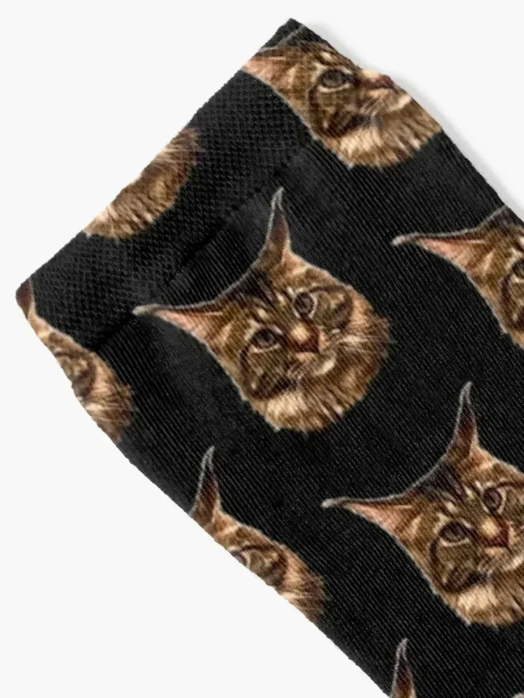 Tucker 2 -Cute Graphic Maine Coon Cat Socks essential Crossfit men cotton high quality Girl'S Socks Men's