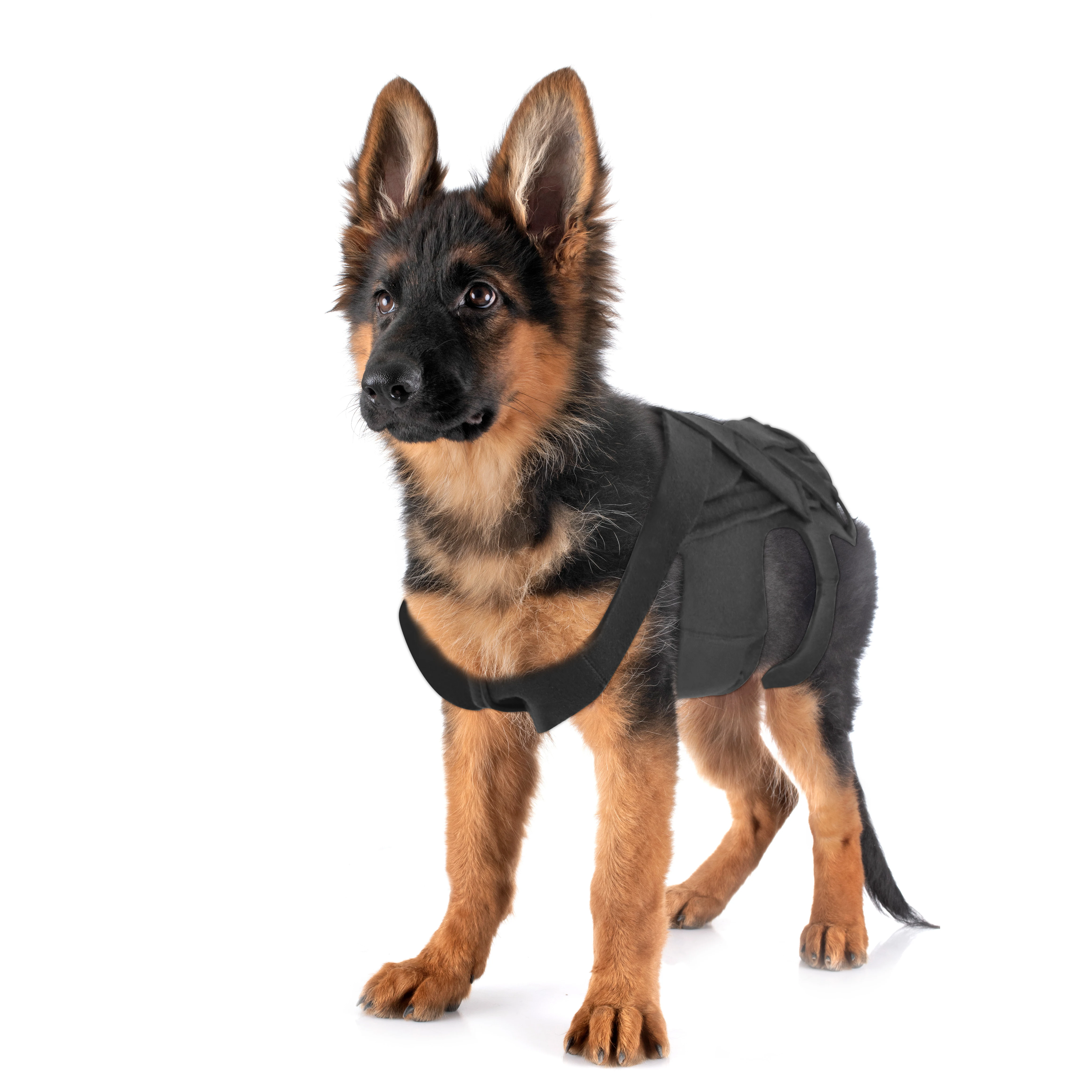 Black Soft Ribbed Pet Vest Dog Adjustable Back Brace for IVDD Dog Back Pain Relief, Arthritis Dachshunds Corgies Dog Vest
