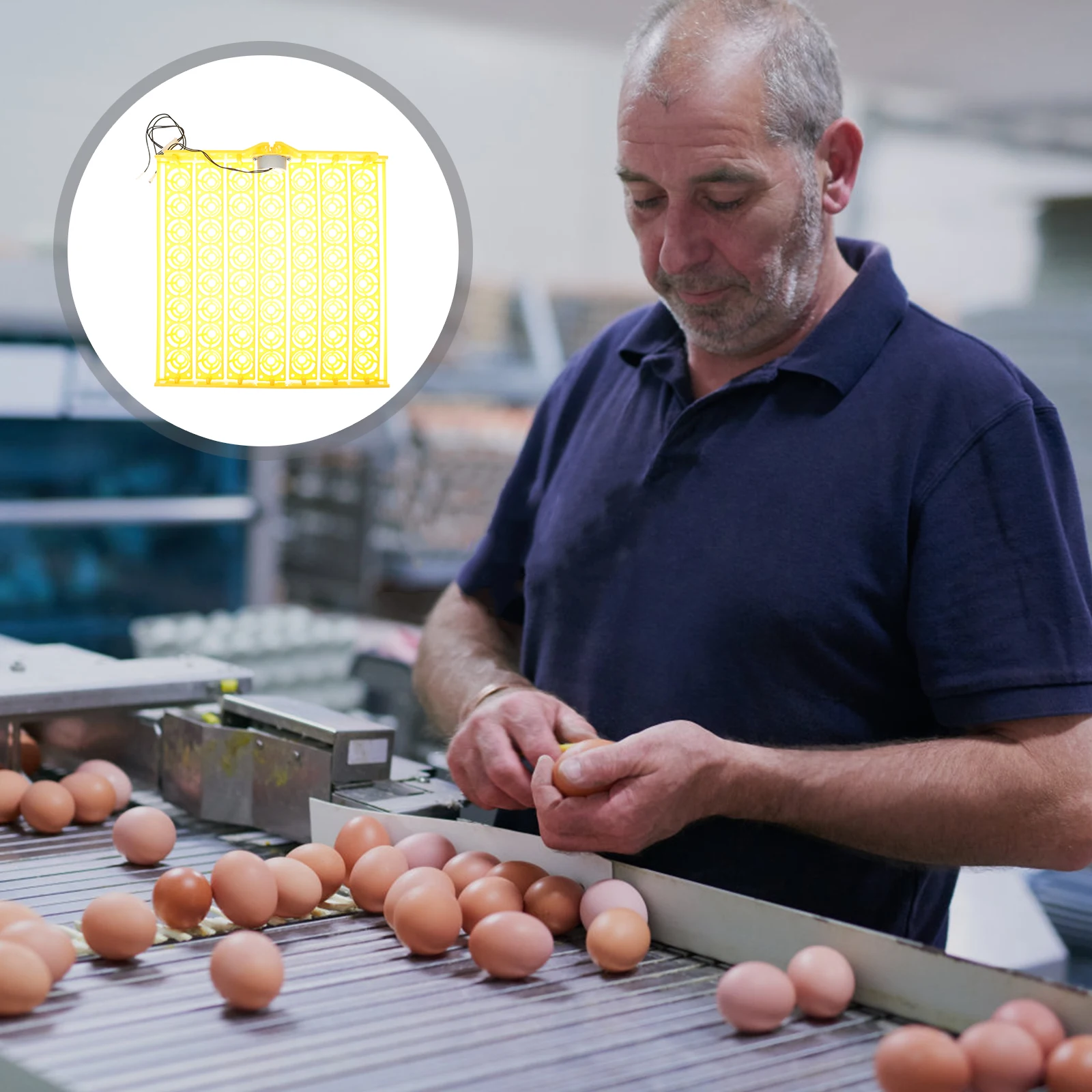 

Incubator Egg Tray Automatic Turning Poultry Plastic Hatcher Chicken Duck Quail Eggs Breeding Accessories Heat Resistance Easy
