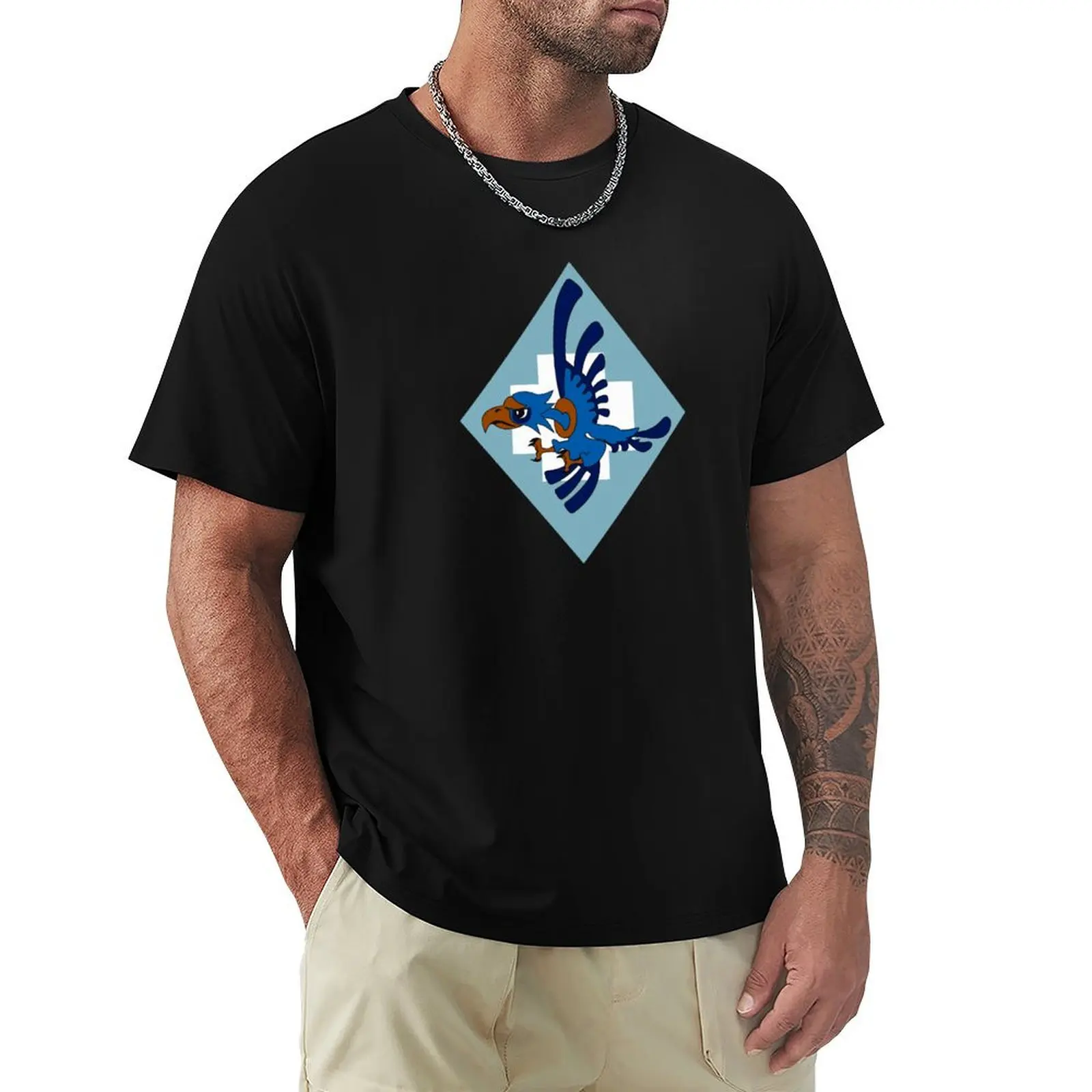 

Polish SZ RP - No. 317 Fighter Squadron Wileński - Clean Style T-Shirt Minimalist Graphic Tee Shirt