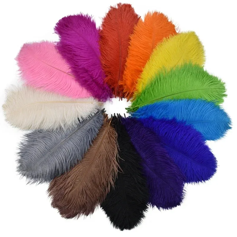 10Pcs/Lot Colored Ostrich Feathers for Crafts Wedding Decoration Handicraft Accessories Table Centerpieces Carnival Plumas Decor