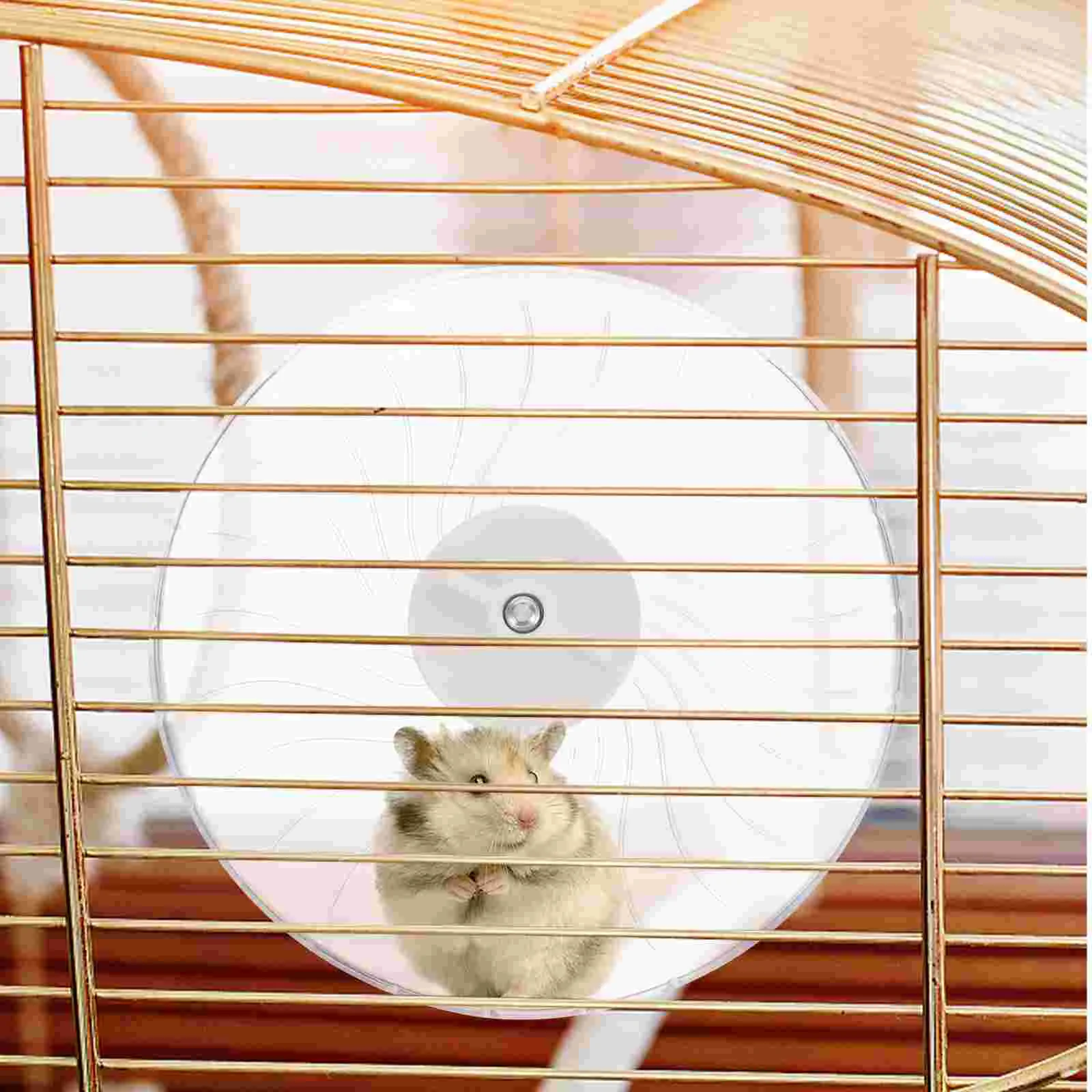 Hamster Running Wheel Toy Guinea Large Hedgehog Supplies Accessories Plastic Silent Chinchilla