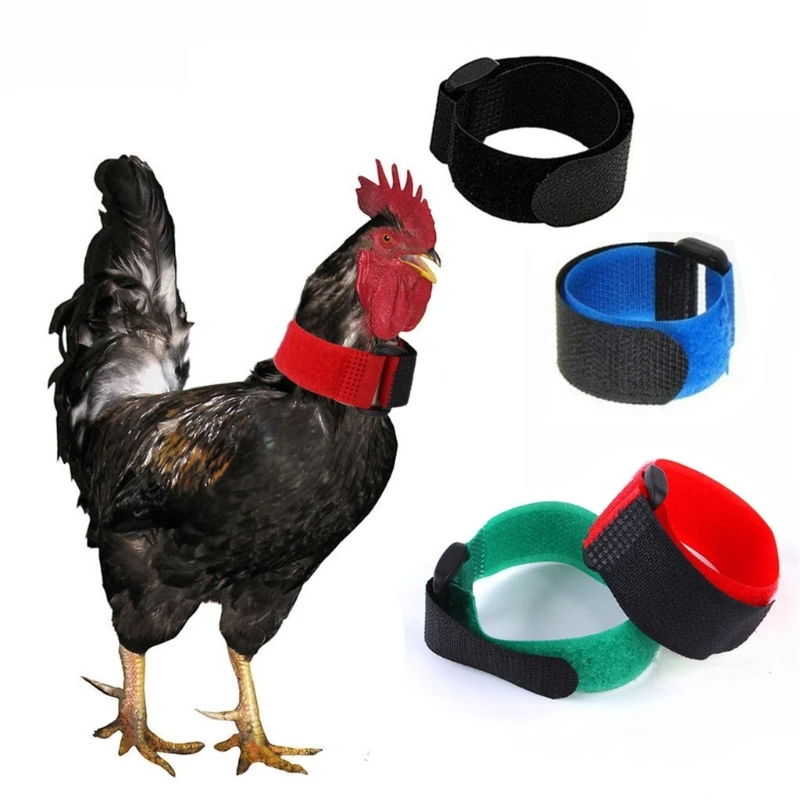 Durable Rooster Noisy Anti-Hook Neckband Collar 2PCS Rooster Neck Collar Supplies Nylon Collar Rooster Supplies