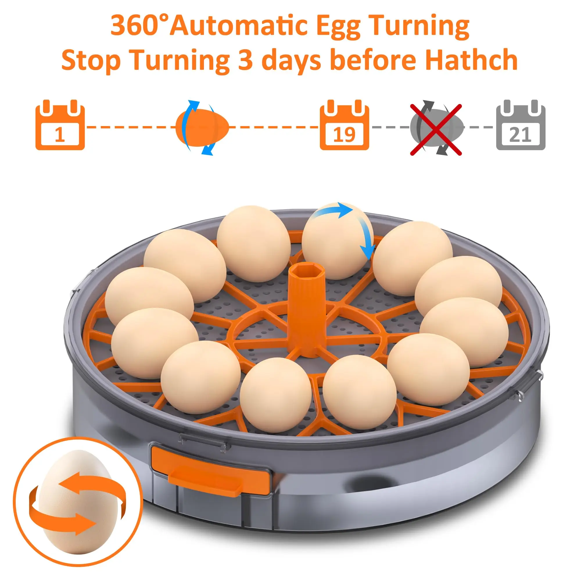 Incubators for Hatching Eggs, 12 Chicken Incubator with Automatic Egg Turning and Humidity Control, for Quail, Chickens, Duck