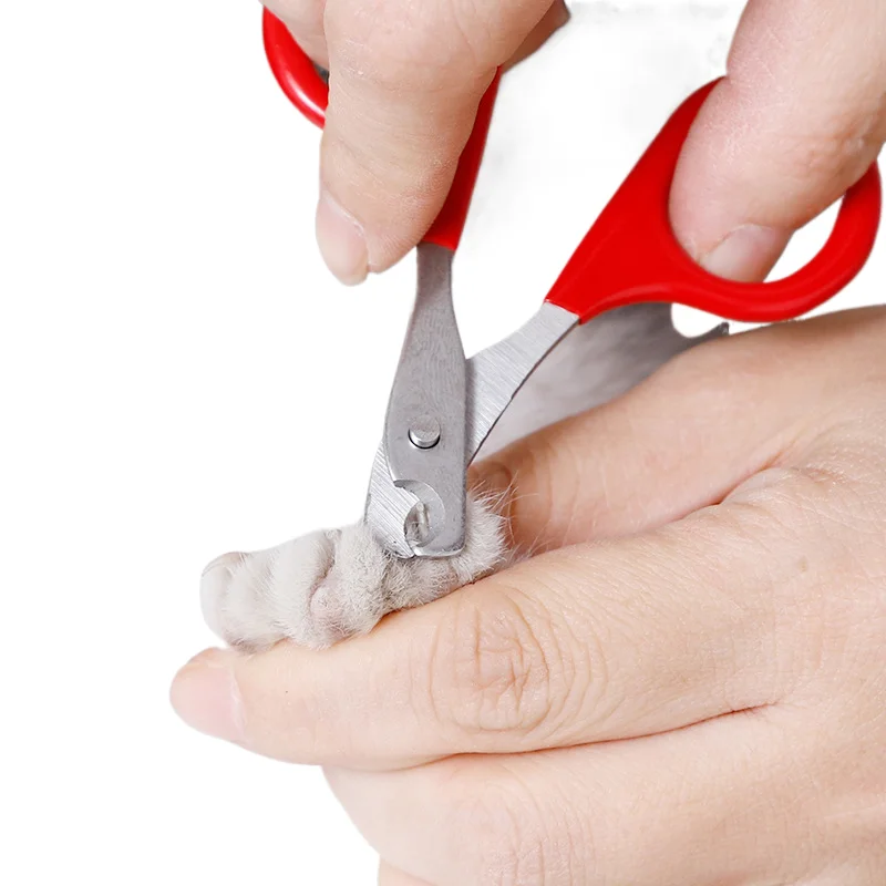 

Professional Nail Scissors Pet Dog Nail Clippers Toe Claw Trimmer Pet Grooming Supplies Products for Small Dogs Dog Gadgets