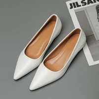 New Pointed Toe Shallow Mouth Square Heel Small Leather Shoes Women's Elegant Fashion High Heels Dress Shoes Zapatos Mujer - Image 6