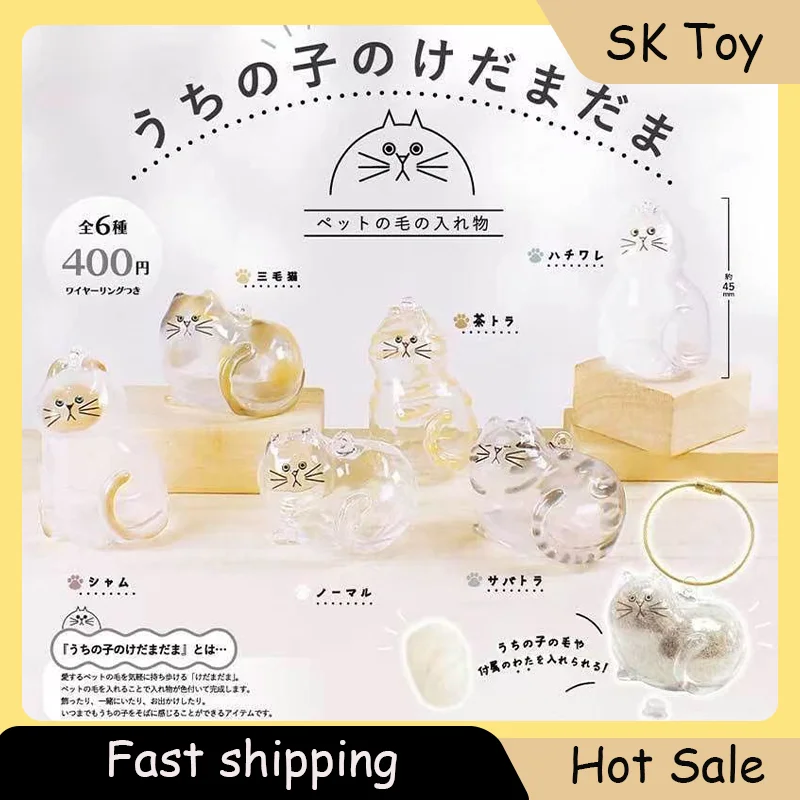 

New Transparent Cat Hair Storage Box Charm Gacha Cat Hair Storage Capsule Gacha Bag Turn KeyChain Pendant Fashionable Accessorie