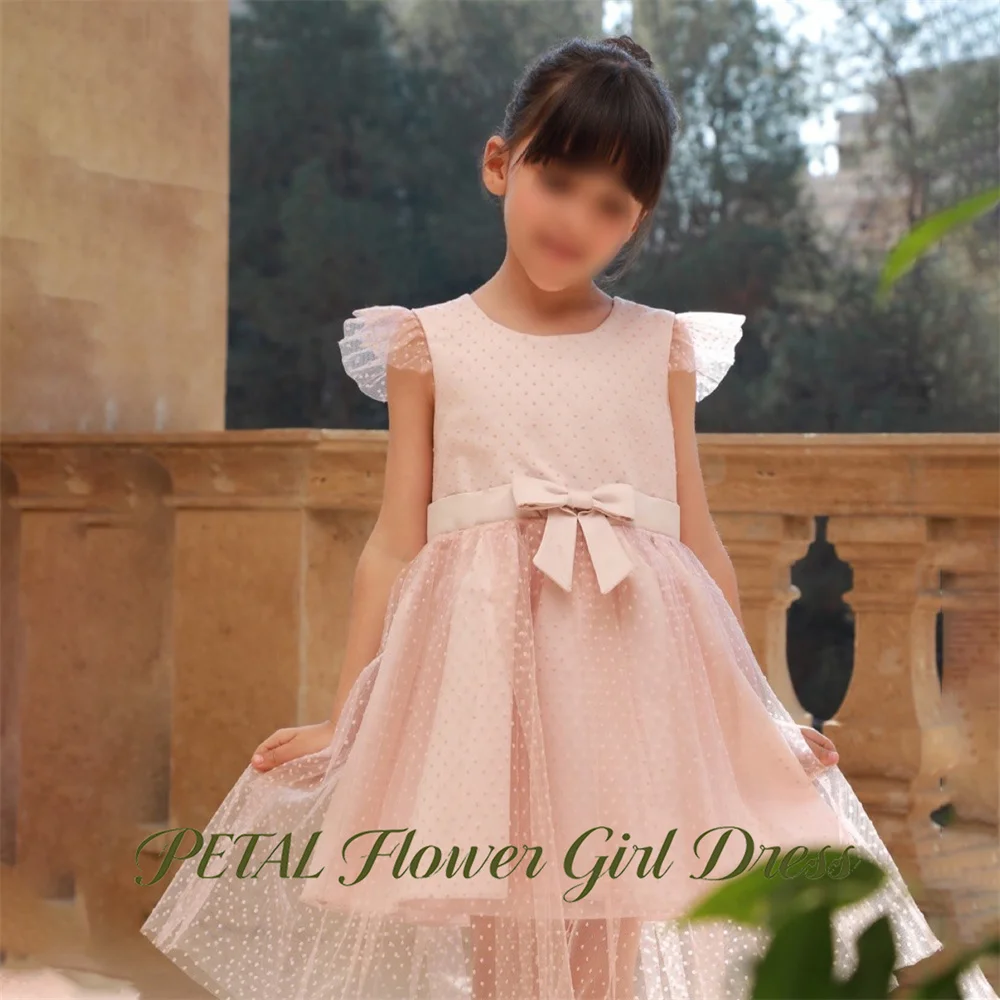 Petal Dusty Pink Swiss Dot Kids Birthday Party Dress with Bow Pageant Dress for Girl Round Neck First Communion Gown Customized