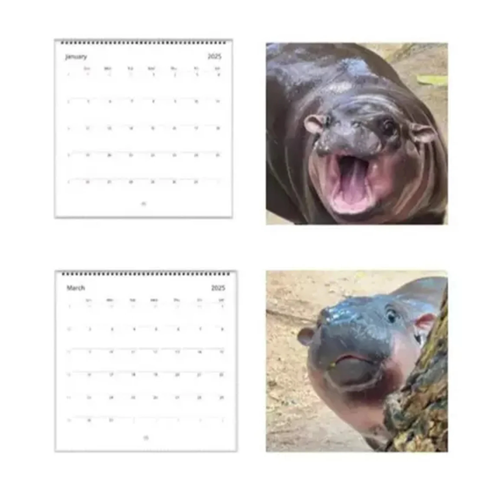 Moo Deng-Hippo 2025 Calendar Thick Paper 12 Months Wall Calendar For Home Decoration