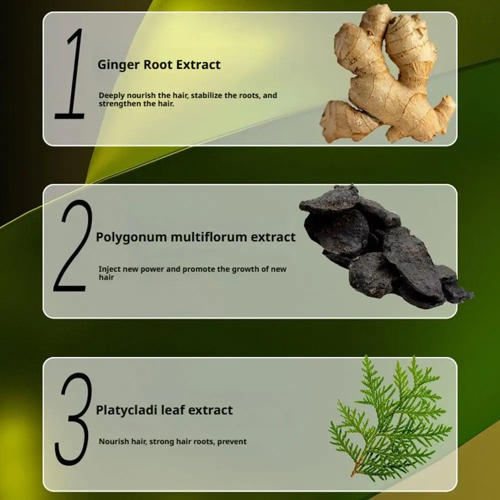 Ginger Shampoo Herbal Hair Loss Prevention Loss Dandruff Itch Relief Nourish Scalp Oil Control Rich Foam Repairs Damaged Hair
