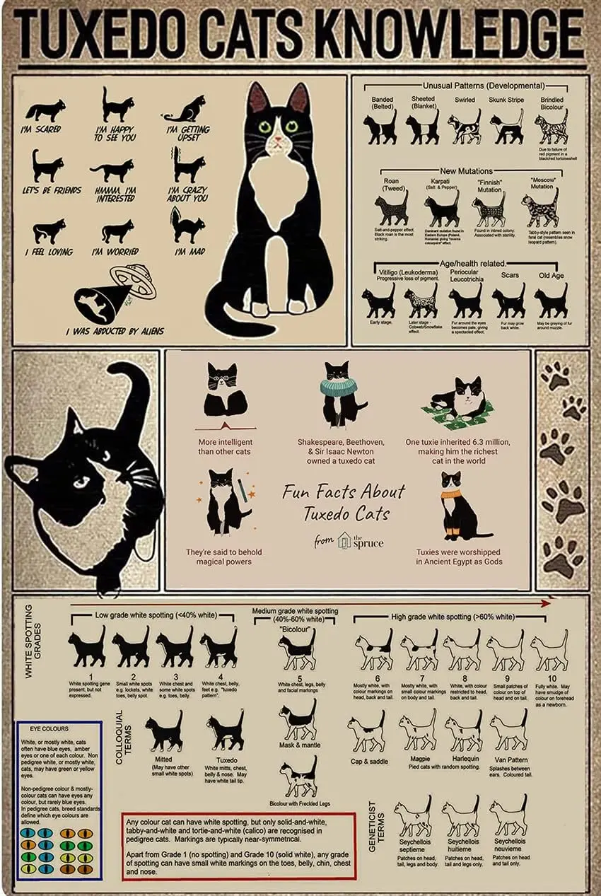Starotore Plaque Métallique en Aluminium Rétro avec Affiche Animale et Motifs de Chats Tuxedo, Décoration Murale pour Salon, Maison, Salle de Bain, Bureau