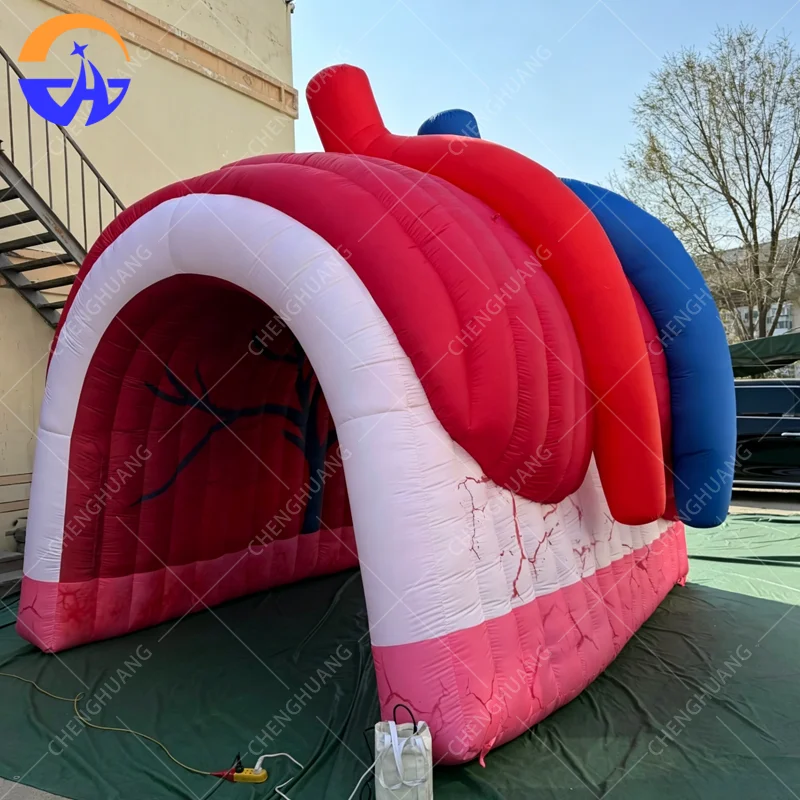 Red Vascular Crack Texture Human Anatomy Heart Inflatable Tunnel Tent for Campus Popular Science Exhibition