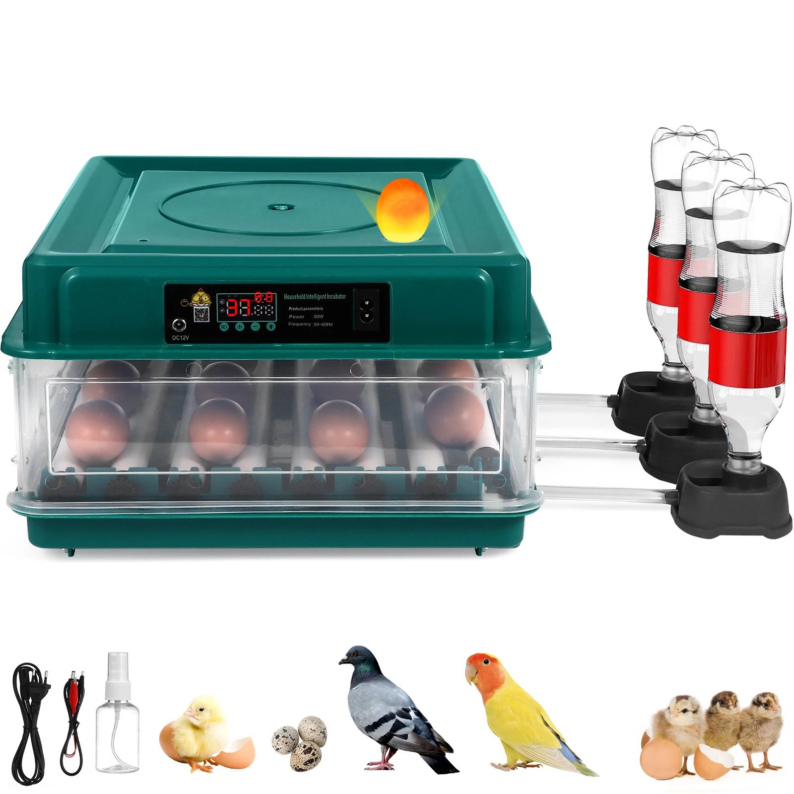 

Fully Automatic Double Electric Incubator British Standard Egg For Reptile Eggs