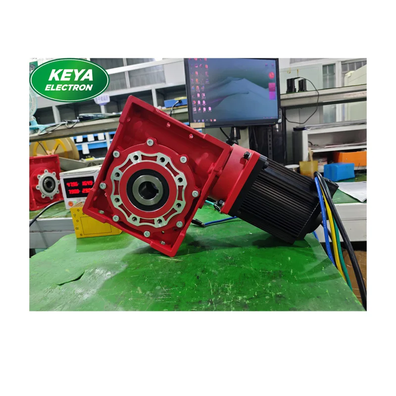 Servo motor BLDC de alto torque 24V 350W com redutor de engrenagem helicoidal RV50