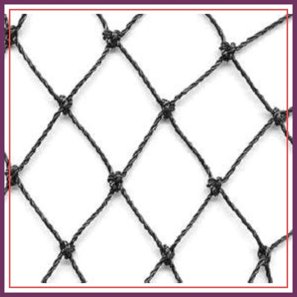 

Heavy Knotted 2 inch Poultry Net - Aviary Netting 25 ft x 50 ft