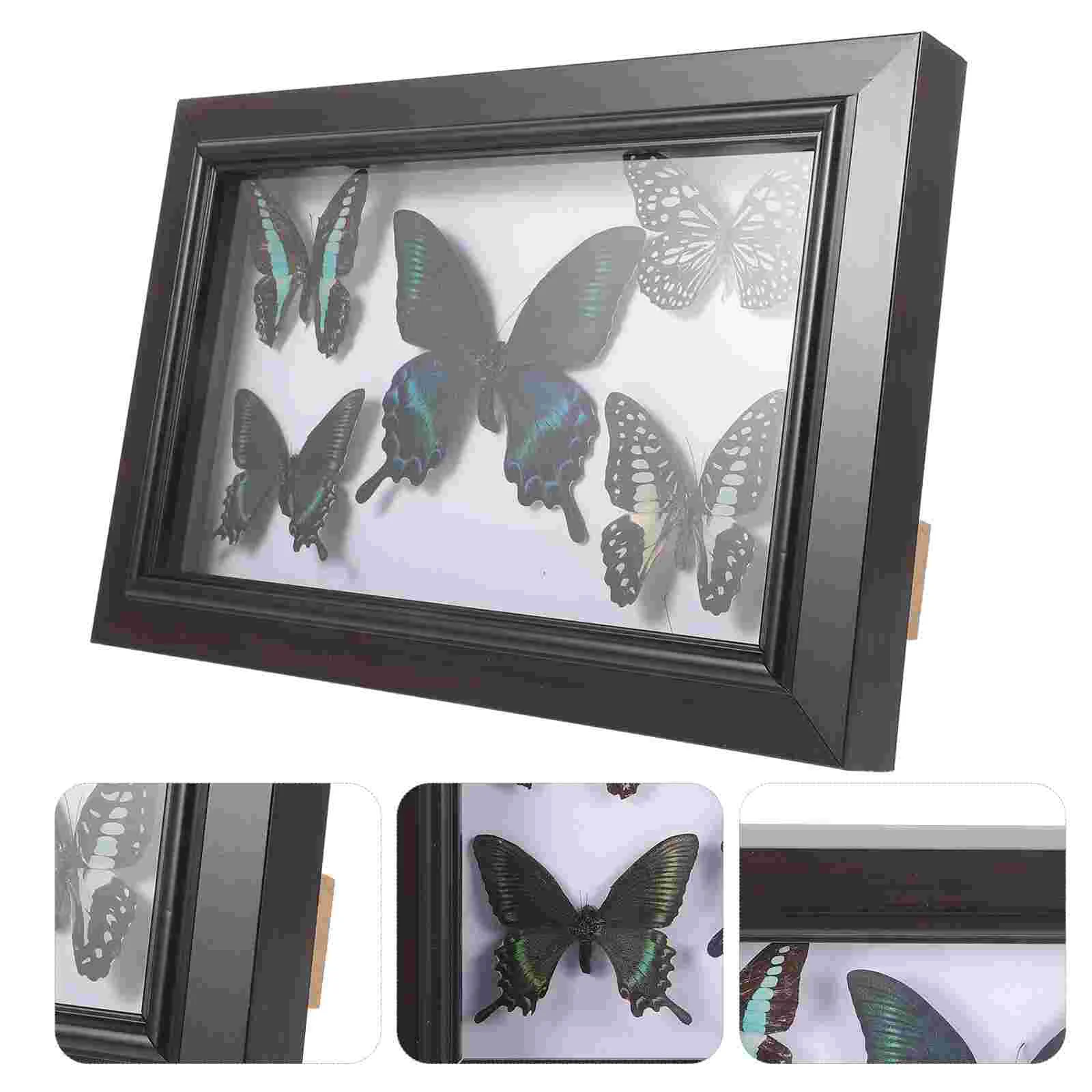 Wood Photo Display Frame With Butterfly Specimen Wall Butterflies Specimen Decoration specimen display frame