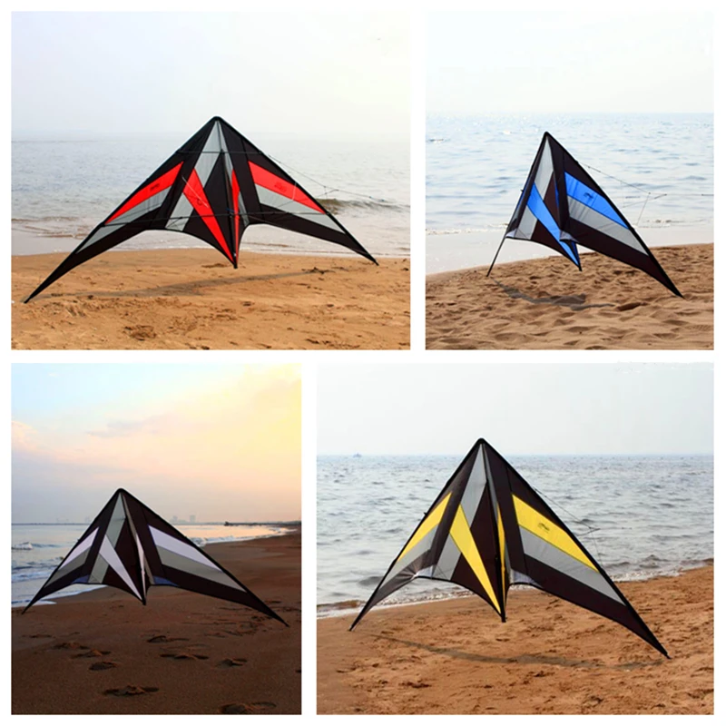 Spedizione gratuita 250 cm Professional Stunt kite Falcon aquiloni fabbrica Freilein aquilone doppia linea per adulti kitesurf volare all'aperto